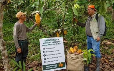Mecanismos de Denuncias del IKI (ICM) – Proyecto EcuagroforestCocoa