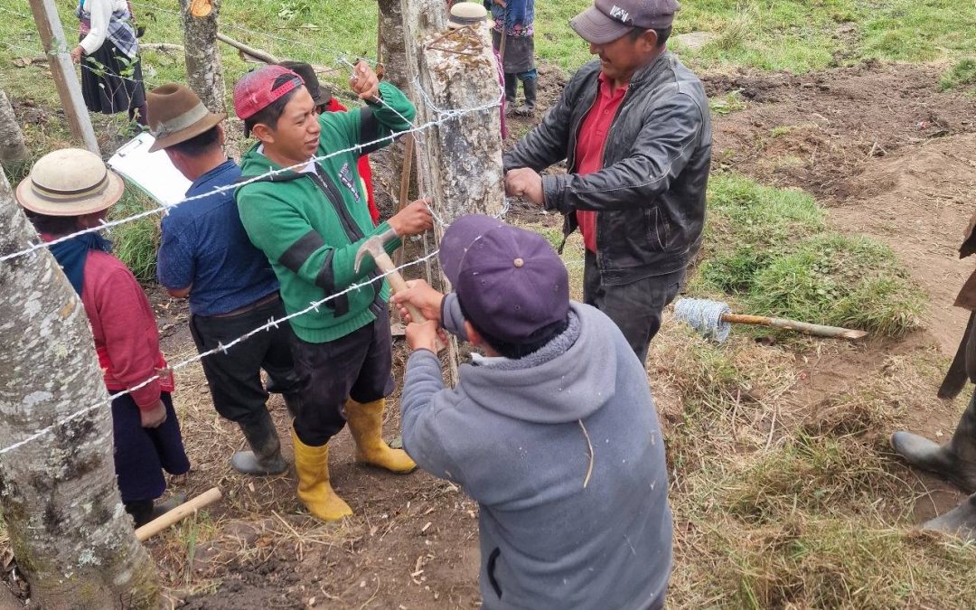 Inician trabajos de protección de fuentes hídricas en la parroquia Julio Moreno, cantón Guaranda