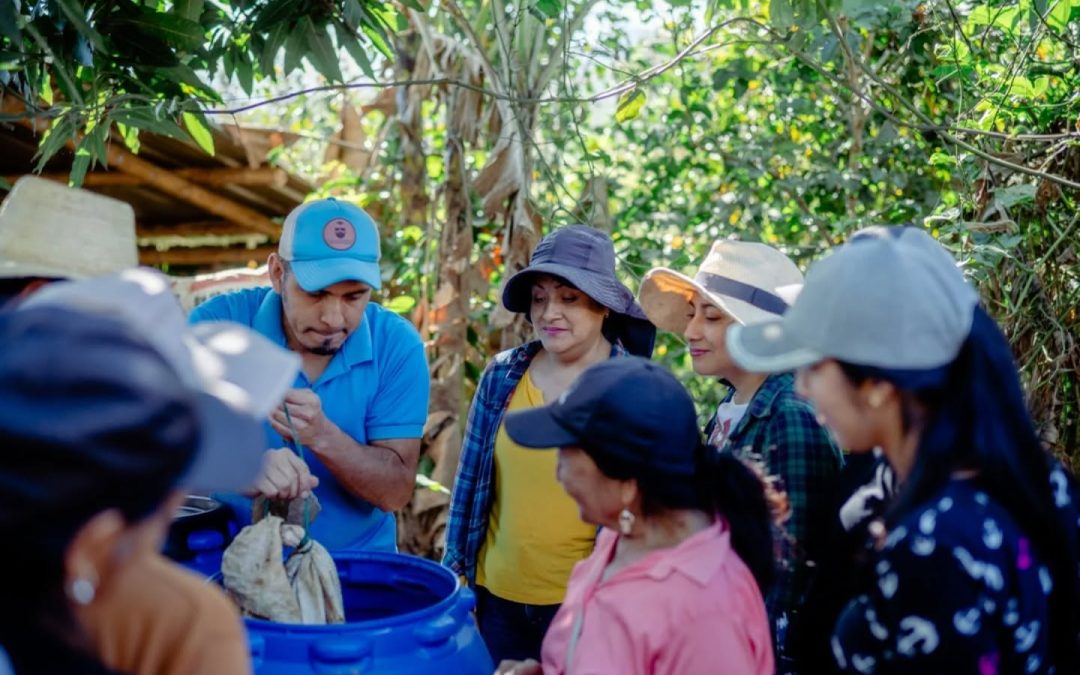 Campesinos fortalecen sus conocimientos en Manejo Sostenible de la Tierra a través de las Escuelas de Campo