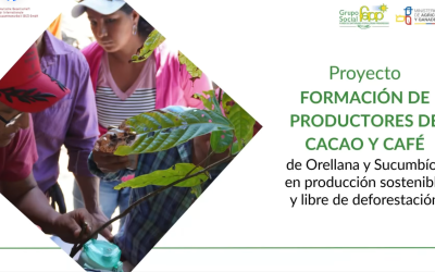 FEPP Amazonía impulsa la producción sostenible de cacao y café en Orellana y Sucumbíos