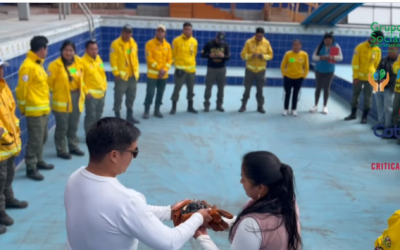 Fortaleciendo la prevención y gestión integral del fuego en Cotacachi