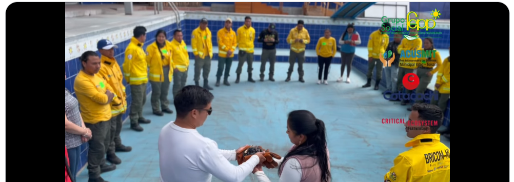 Fortaleciendo la prevención y gestión integral del fuego en Cotacachi